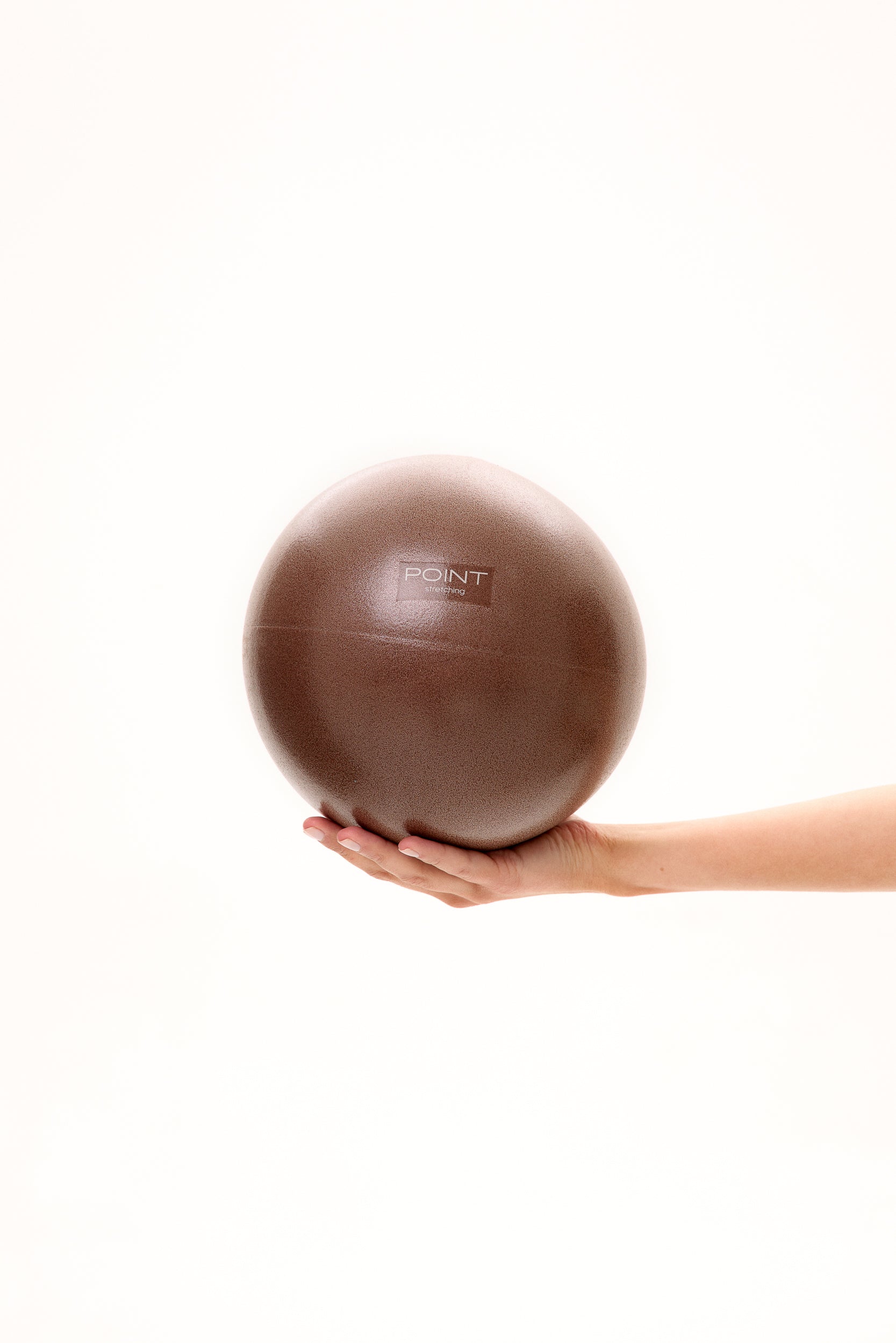 Pilates Ball for Stretching & Functional Training